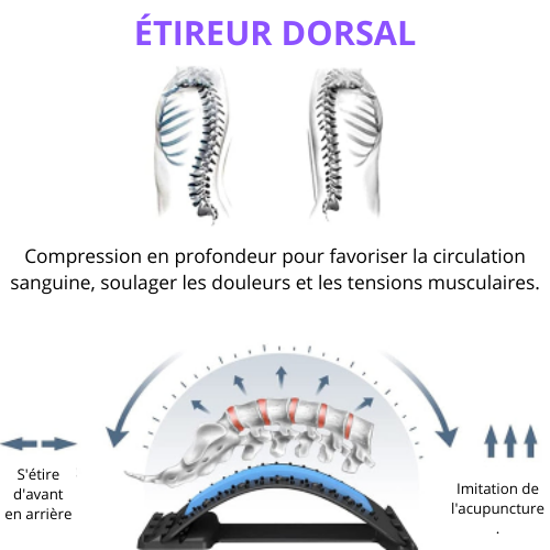 civiere-dorsale-dos-forme